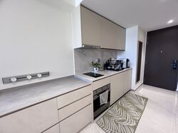 Kopar At Newton (D9), Apartment #565030161
